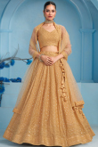 Light Brown Embroidered Georgette Panelled Style Lehenga