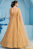 Light Brown Embroidered Georgette Panelled Style Lehenga