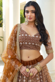 Light Brown Net Embroidered A-Line Lehenga