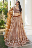 Light Brown Net Embroidered A-Line Lehenga