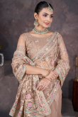 Light Brown Net Embroidered Fancy Saree for Festival 