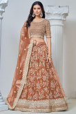 Light Brown Net Embroidered Panelled Style Lehenga For Wedding