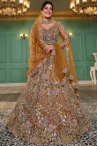 Light Brown Net Embroidered Panelled Style Lehenga 