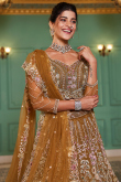 Light Brown Net Embroidered Panelled Style Lehenga 