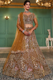 Light Brown Net Embroidered Panelled Style Lehenga 