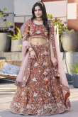 Light Brown Organza Embroidered A Line Lehenga 