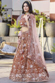 Light Brown Organza Embroidered A Line Lehenga 