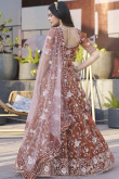Light Brown Organza Embroidered A Line Lehenga 