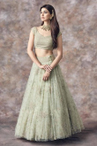 Light Green Net Embroidered Flared Style Lehenga