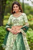 Light Green Satin Silk Embroidered Panelled Style Lehenga