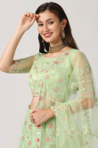 Light Green Stone Embellished Net Panelled Style Lehenga