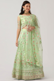 Light Green Stone Embellished Net Panelled Style Lehenga