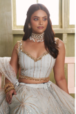 Light Grey Net Embroidered Flared Style Lehenga