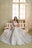 Light Grey Net Embroidered Flared Style Lehenga
