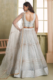 Light Grey Net Embroidered Flared Style Lehenga