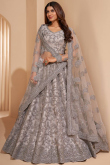 Light Grey Net Lehenga with Stone and Dori Embroidery