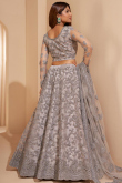 Light Grey Net Lehenga with Stone and Dori Embroidery