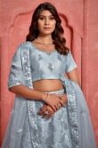 Light Grey Net Lehenga With Sequins Work For Weddings