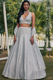 Light Grey Silk Embroidered Panelled Style Lehenga 