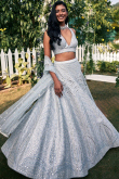 Light Grey Silk Embroidered Panelled Style Lehenga 