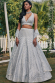 Light Grey Silk Embroidered Panelled Style Lehenga 