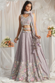 Light Mauve Chinnon Resham Embroidered Panelled Lehenga