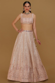 Light Mauve Dori Embroidered Net Panelled Style Lehenga for Wedding & Party
