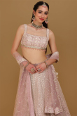Light Mauve Dori Embroidered Net Panelled Style Lehenga for Wedding & Party