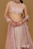 Light Mauve Dori Embroidered Net Panelled Style Lehenga for Wedding & Party