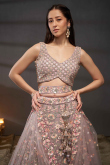 Light Mauve Dori Embroidered Net Panelled Style Lehenga