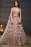 Light Mauve Dori Embroidered Net Panelled Style Lehenga