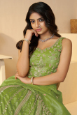 Light Olive Green Tissue Silk Embroidered Flared Lehenga