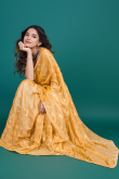 Light Orange Chiffon Sequins Embroidered Shimmer Saree