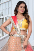 Light Peach Net Lehenga with Mirror Work for Diwali Events