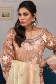 Light Peach Net Straight Cut Sharara Suit