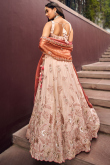 Light Peach Viscose Dori Embroidered Panelled Lehenga
