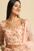 Light Peach Zari Embroidered Net Panelled Style Lehenga