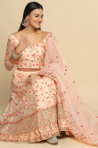 Light Peach Zari Embroidered Net Panelled Style Lehenga