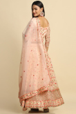 Light Peach Zari Embroidered Net Panelled Style Lehenga