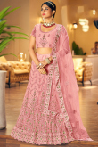 Light Pink Festival Wear Net A- Line Embroidered Lehenga