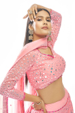 A Line Lehenga in Georgette Light Pink for Sangeet