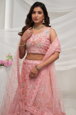 Light Pink Net Dori Embroidered Panelled Style Lehenga 