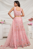 Light Pink Net Dori Embroidered Panelled Style Lehenga 