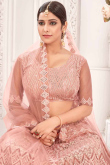 Light Peach Net Embroidered Indian lehenga