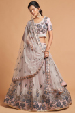 Light Pink Net Embroidered Lehenga