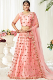 Light Pink Net Lehenga With Net Choli