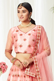 Light Pink Net Lehenga With Net Choli