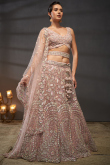 Light Pink Net Lehenga with Sequins Work for Reception