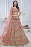 Light Pink Net Resham Embroidered Panelled Style Lehenga