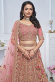 Light Pink Net Resham Embroidered Panelled Style Lehenga
